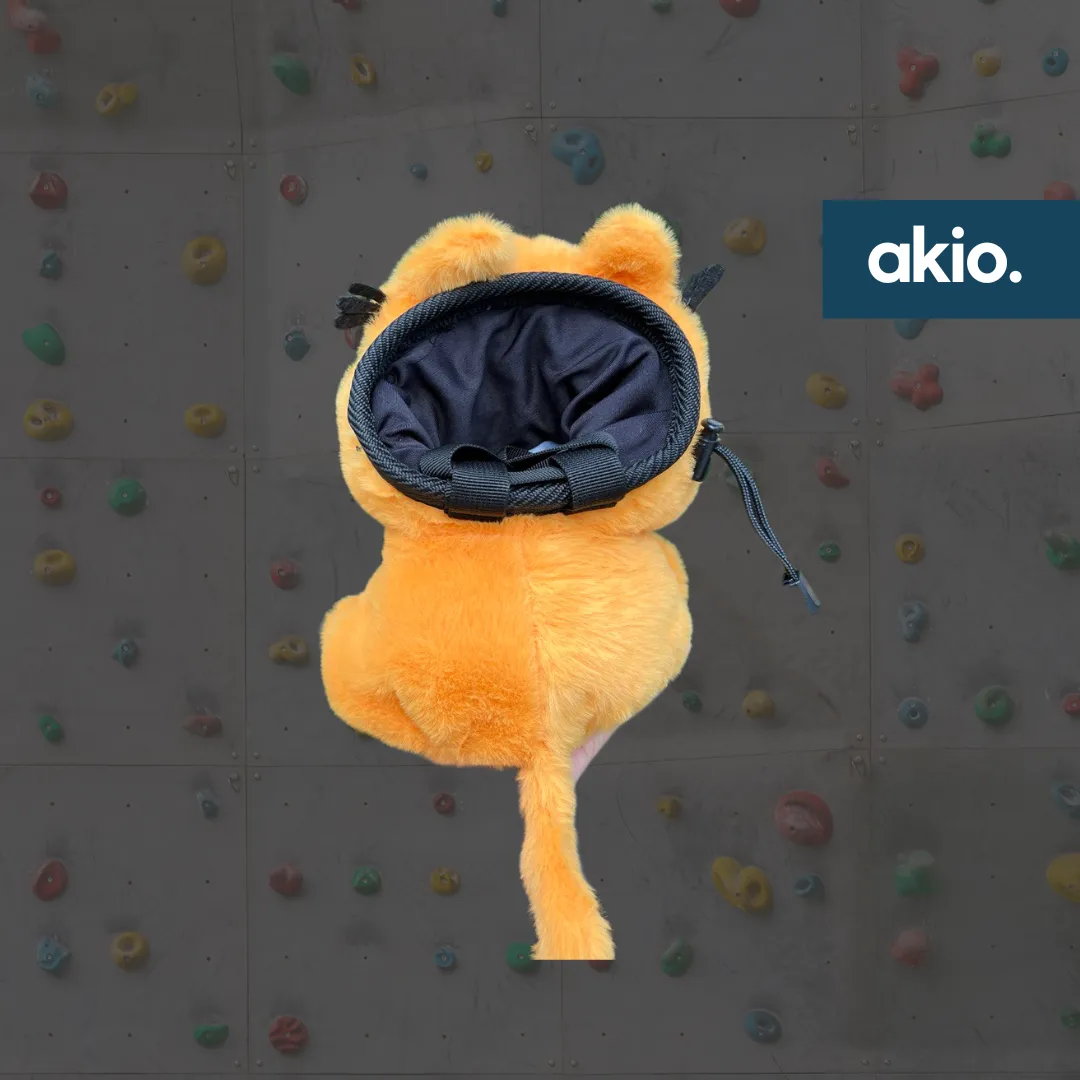 Garfield Orange Cat Chalk Bag