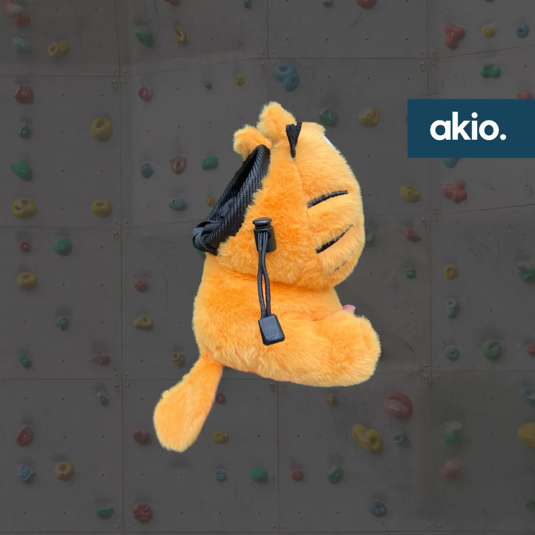 Garfield Orange Cat Chalk Bag