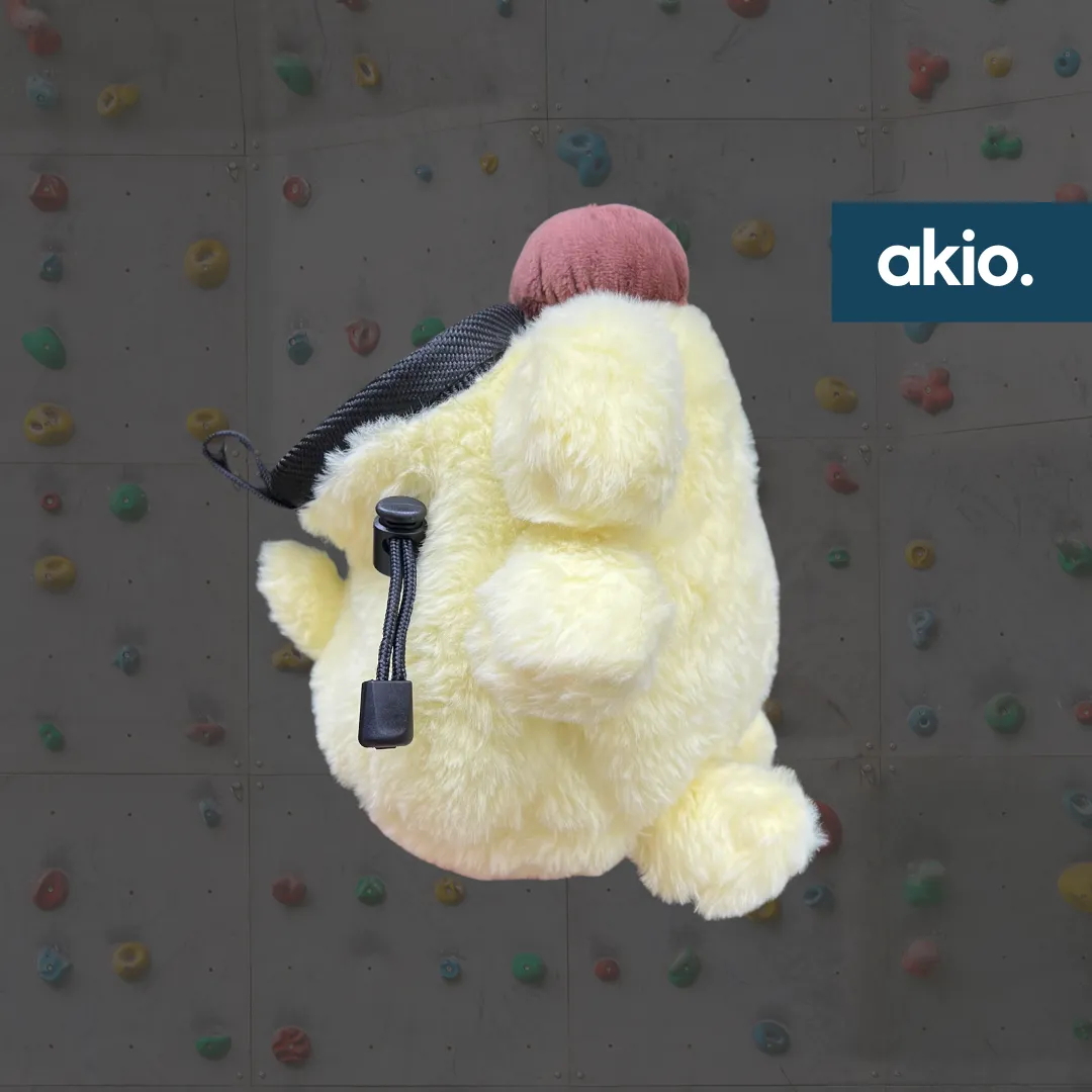 Pompompurin Chalk Bag
