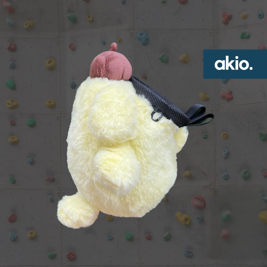 Pompompurin Chalk Bag